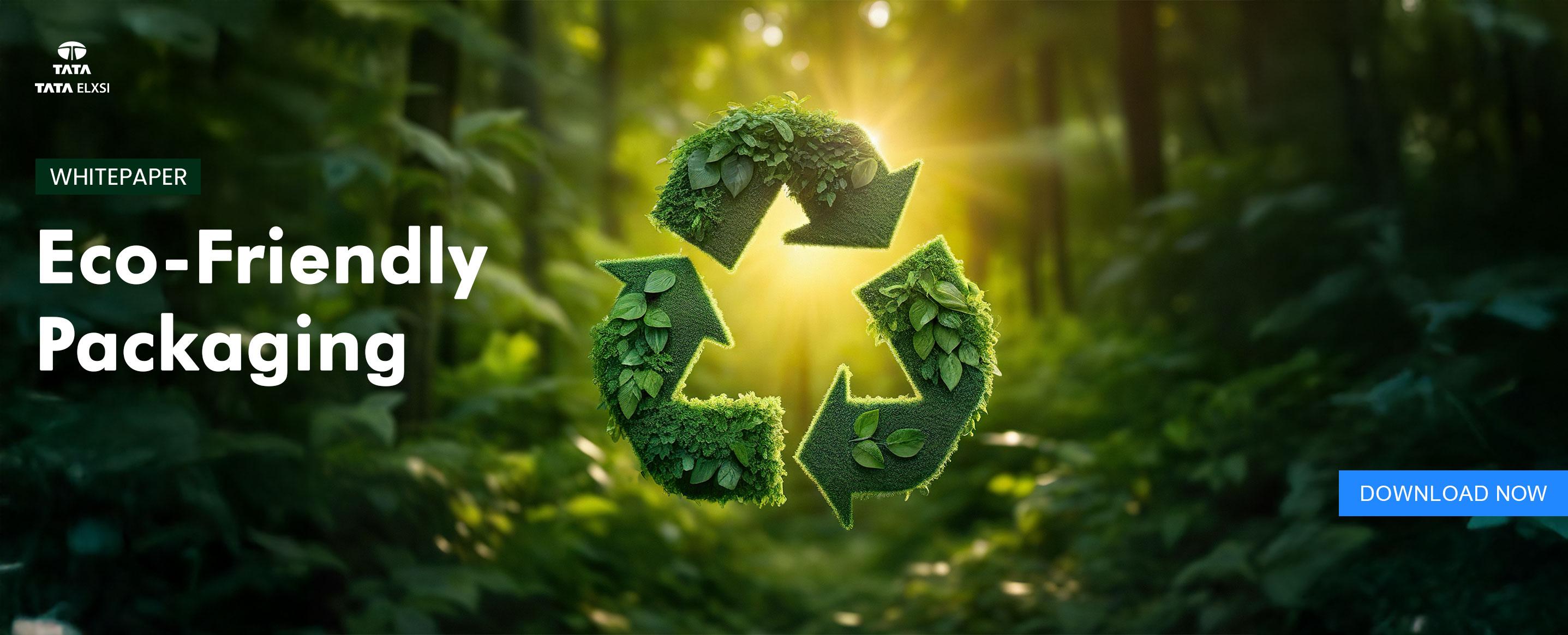 Eco-Friendly Packaging whitepaper