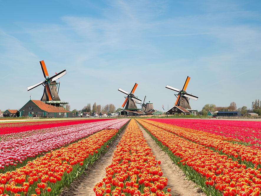 Netherlands