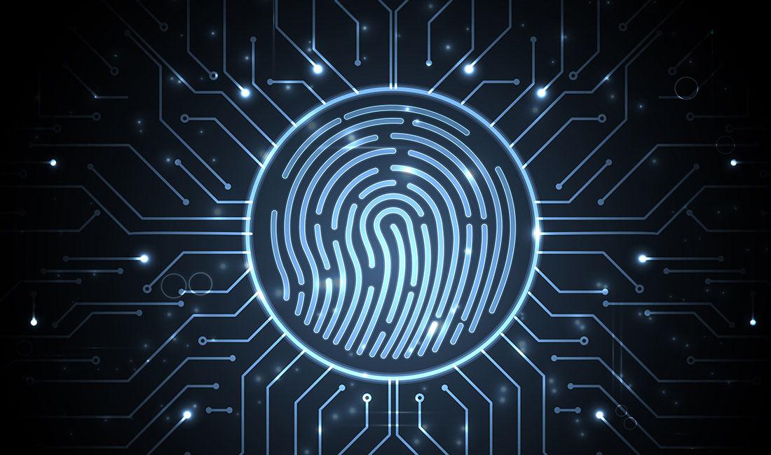 Mixed Signal SoC design for Biometric Finger Print authentication