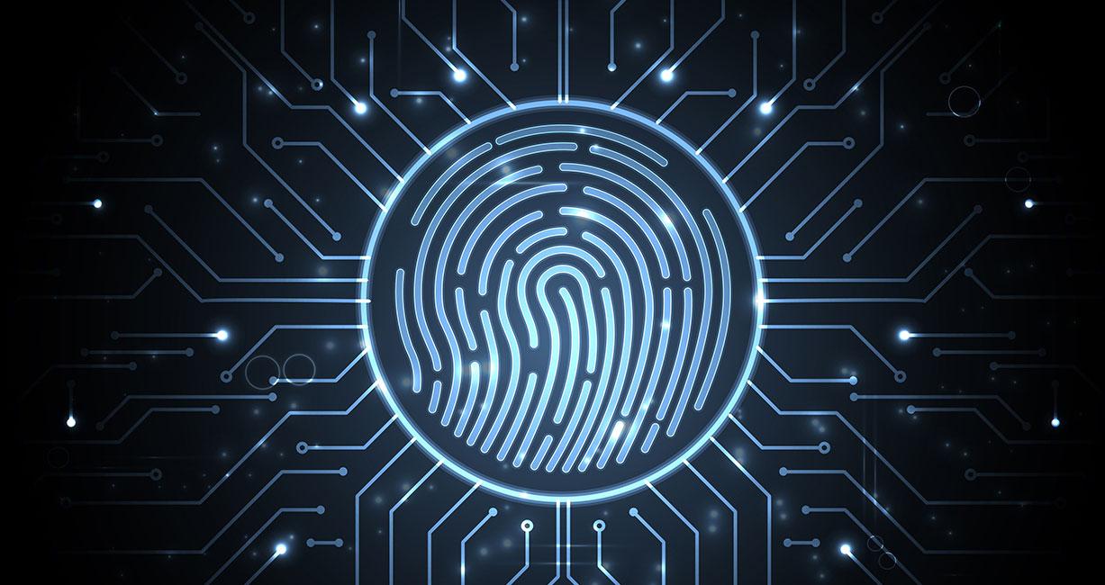 Mixed Signal SoC design for Biometric Finger Print authentication