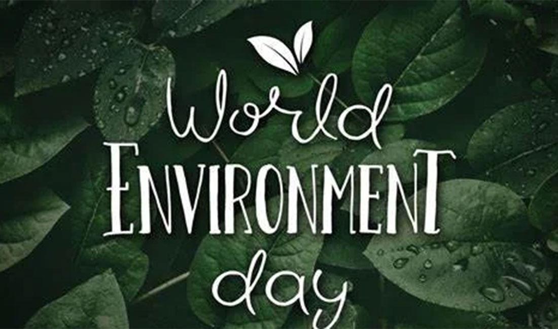 Industry focuses on sustainable future on World Environment Day 2024