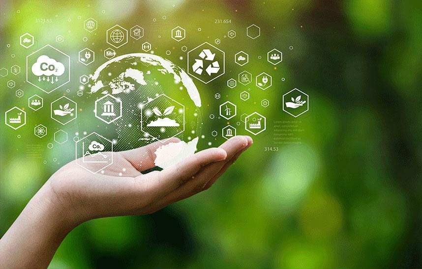 Sustainability Services