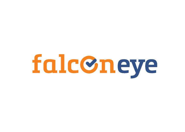 FalconEye - Test and Automation